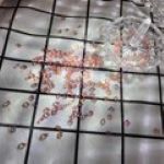 DIY Handcraft Aurora Rhinestone